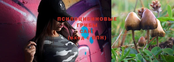 ешки Нефтегорск