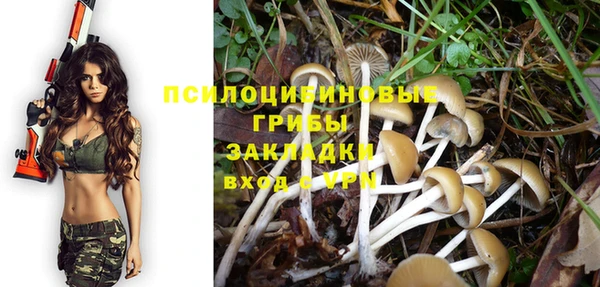 Альфа ПВП Горняк