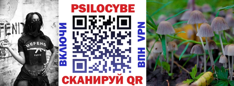 где купить наркоту  Гдов  Галлюциногенные грибы Psilocybe 